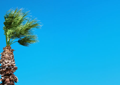 Heavy Outdoor Furniture for Windy Areas: A Comprehensive Guide