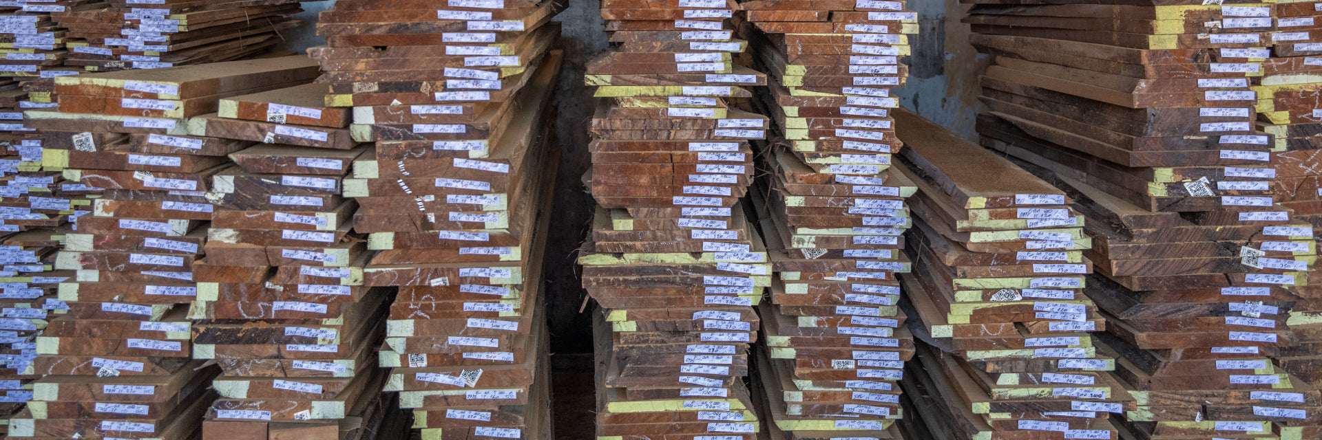 Exploring the Origins of Teak Wood: Where Does It Come From?