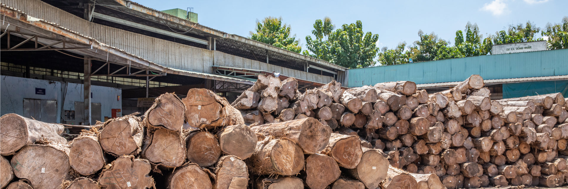 Sustainability at Neighbor