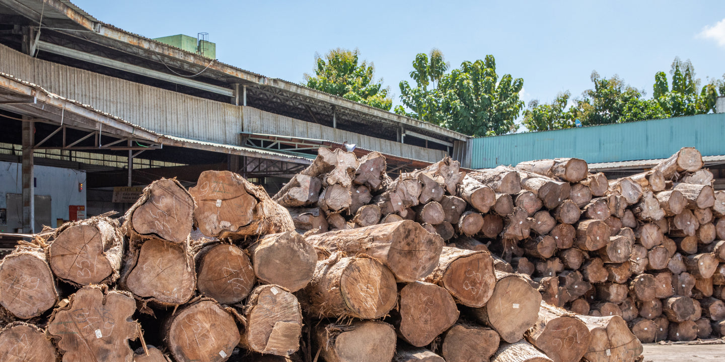 Sustainability at Neighbor