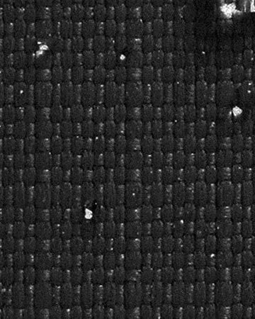 CushionGuard vs Sunbrella: The Best Outdoor Fabric