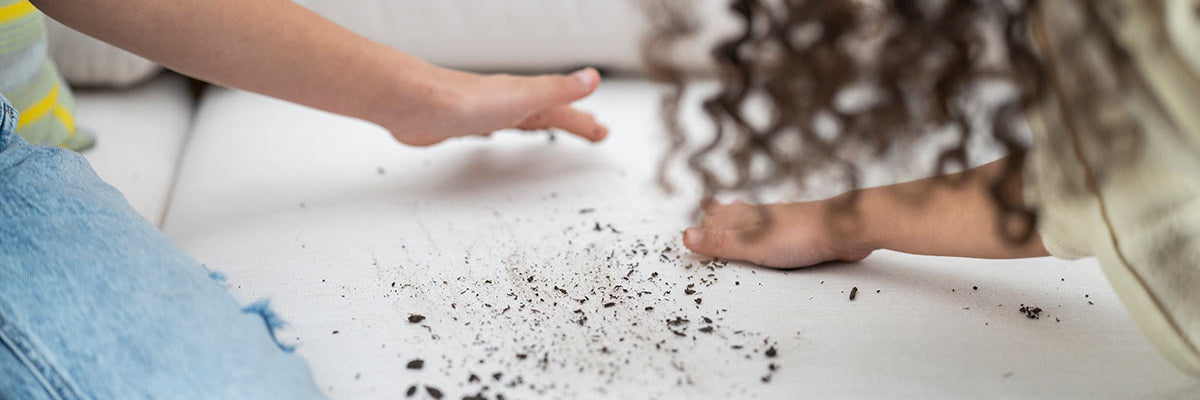 The Sunbrella Fabric Difference