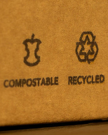 15 Best Ethical and Sustainable Furniture Brands