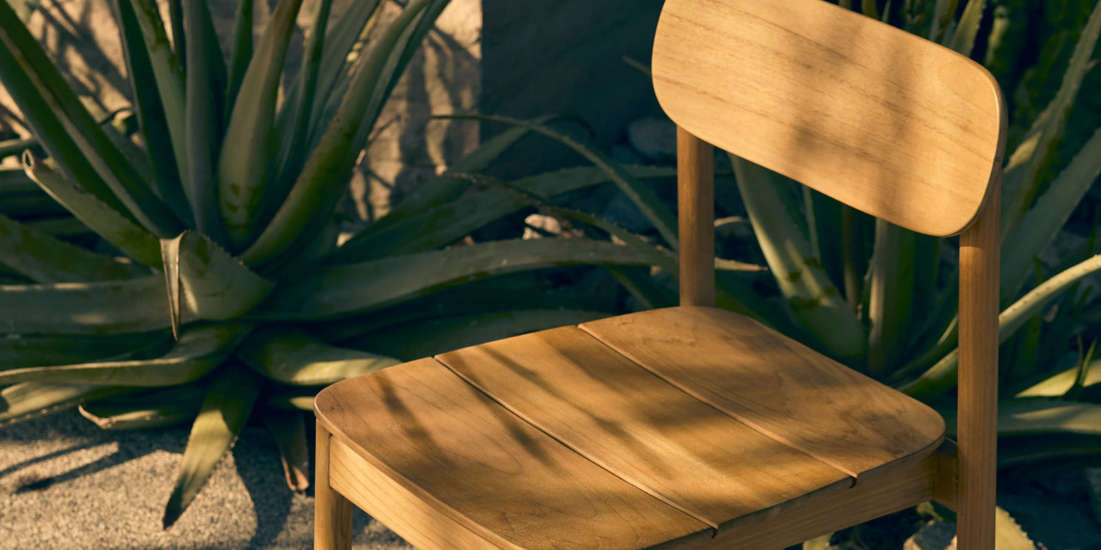 Neighbor Keeper Dining Chair in natural teak on sandy outdoor surface surrounded by desert succulents in golden light