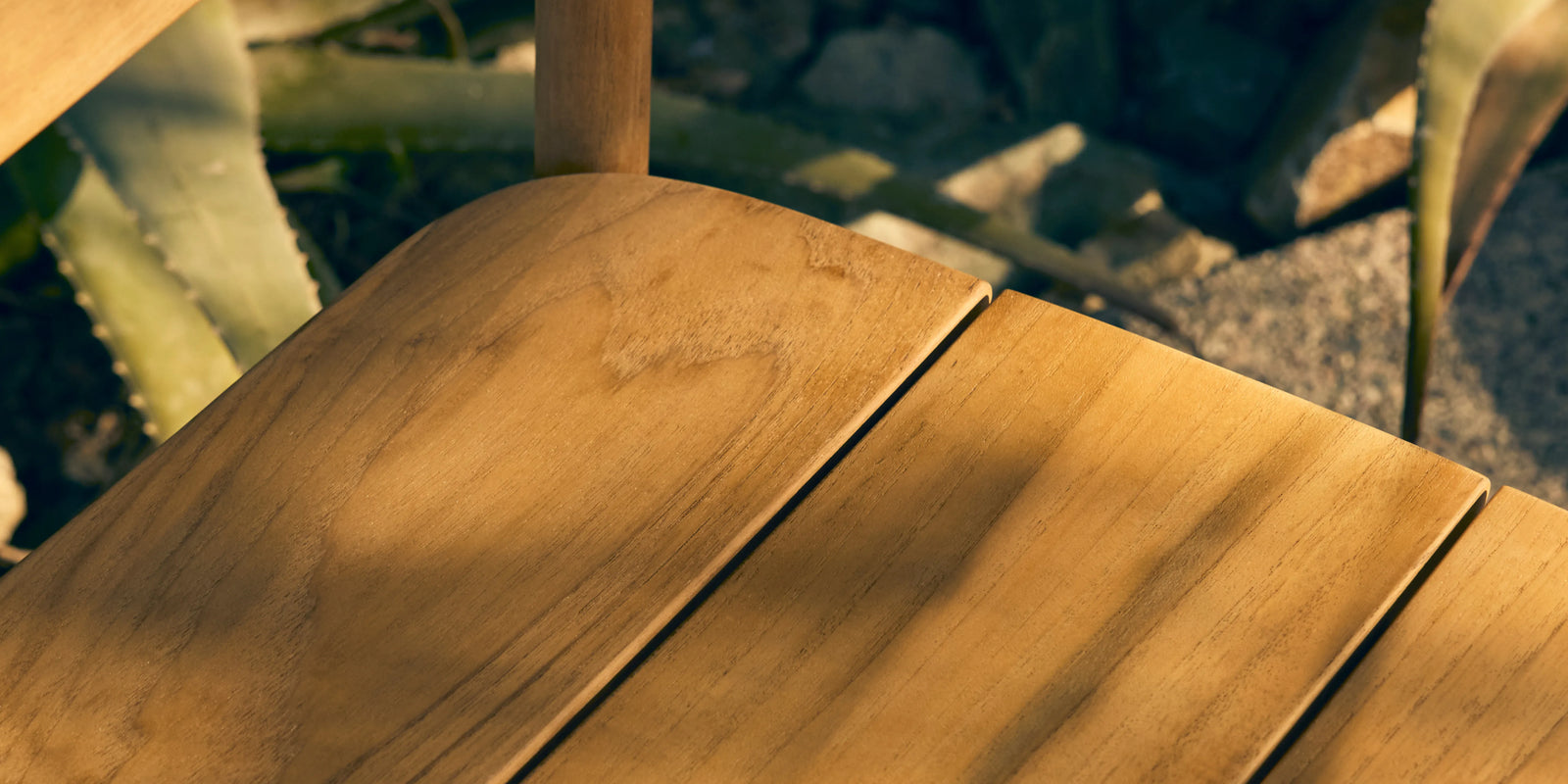 Closeup of Neighbor Keeper Dining Chair teak seat slats in raking golden light with agave plants behind
