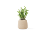 Bulb Planter – Medium – image 1