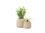 Bulb Planter – Small – image 2