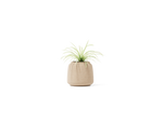 Bulb Planter – Small – image 1
