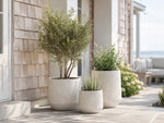 Champ Planter – Small – image 4