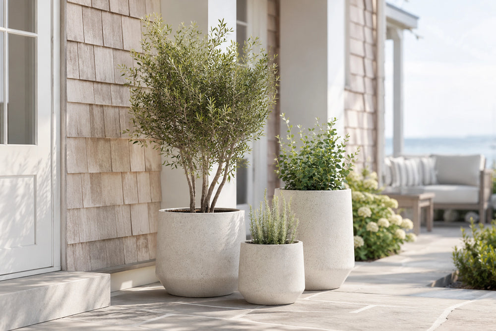 Champ Planter – Small – image 4