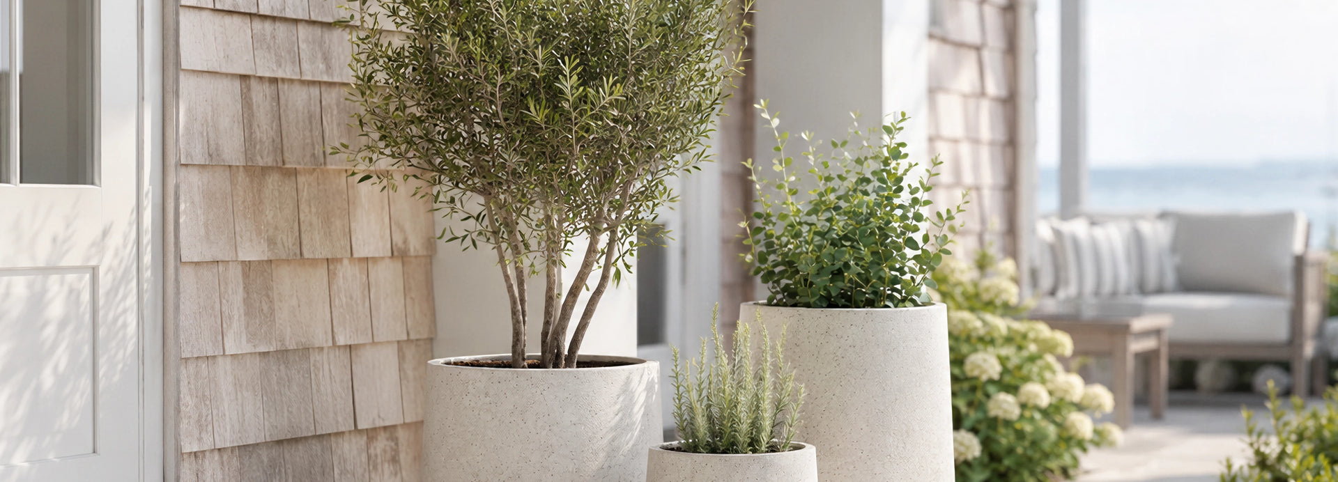 Champ Planter - Tall, alternate view