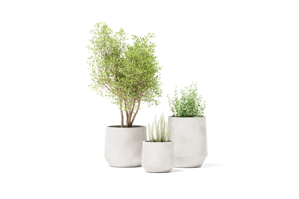 Champ Planter – Small – image 2