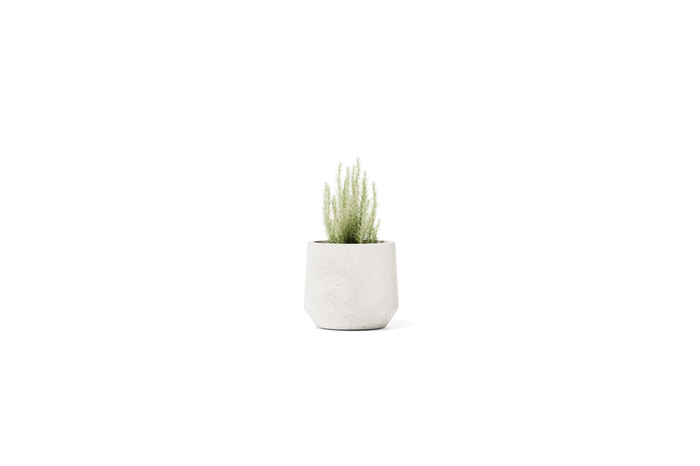 Champ Planter – Small – image 1