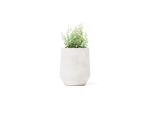 Champ Planter – Tall – image 1