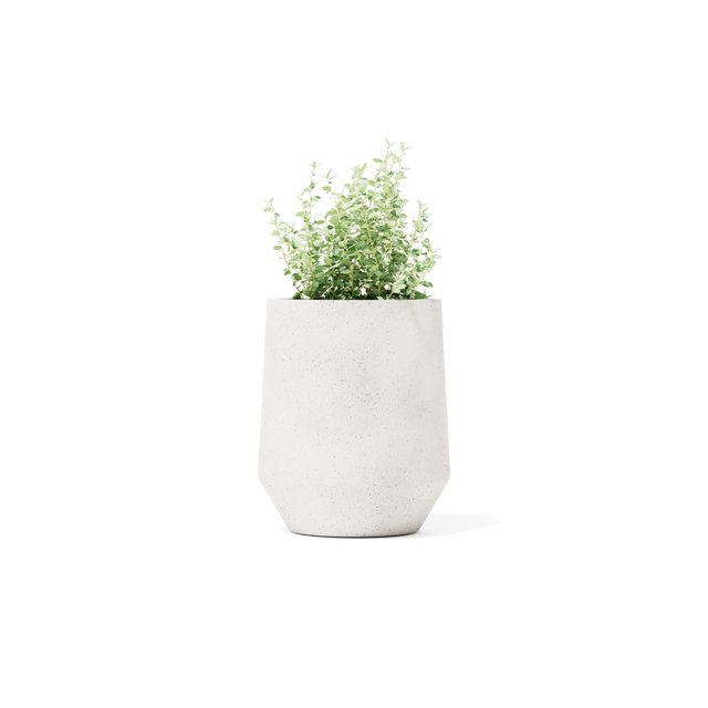 Champ Planter - Tall
