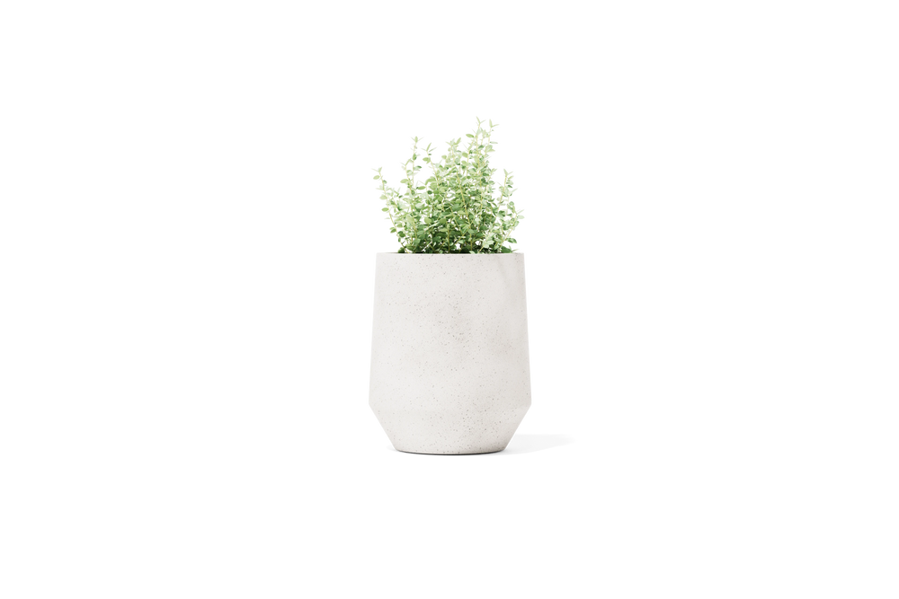 Champ Planter – Tall – image 1
