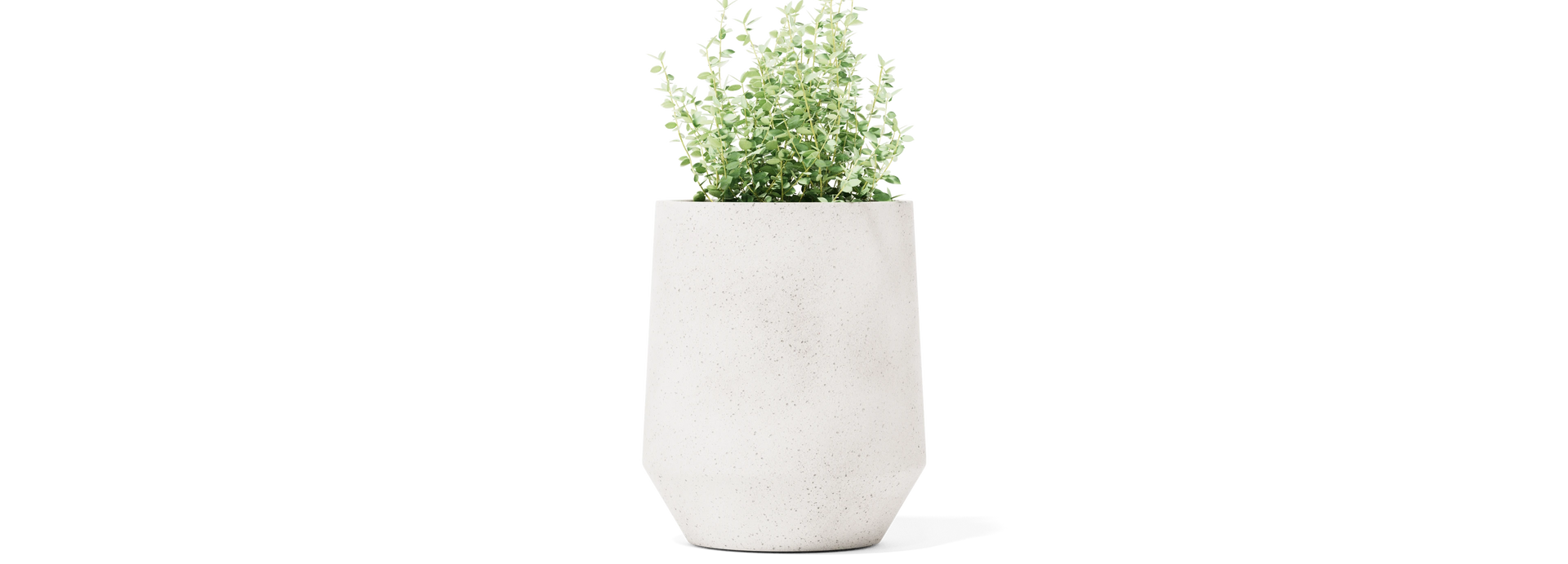 Champ Planter - Tall