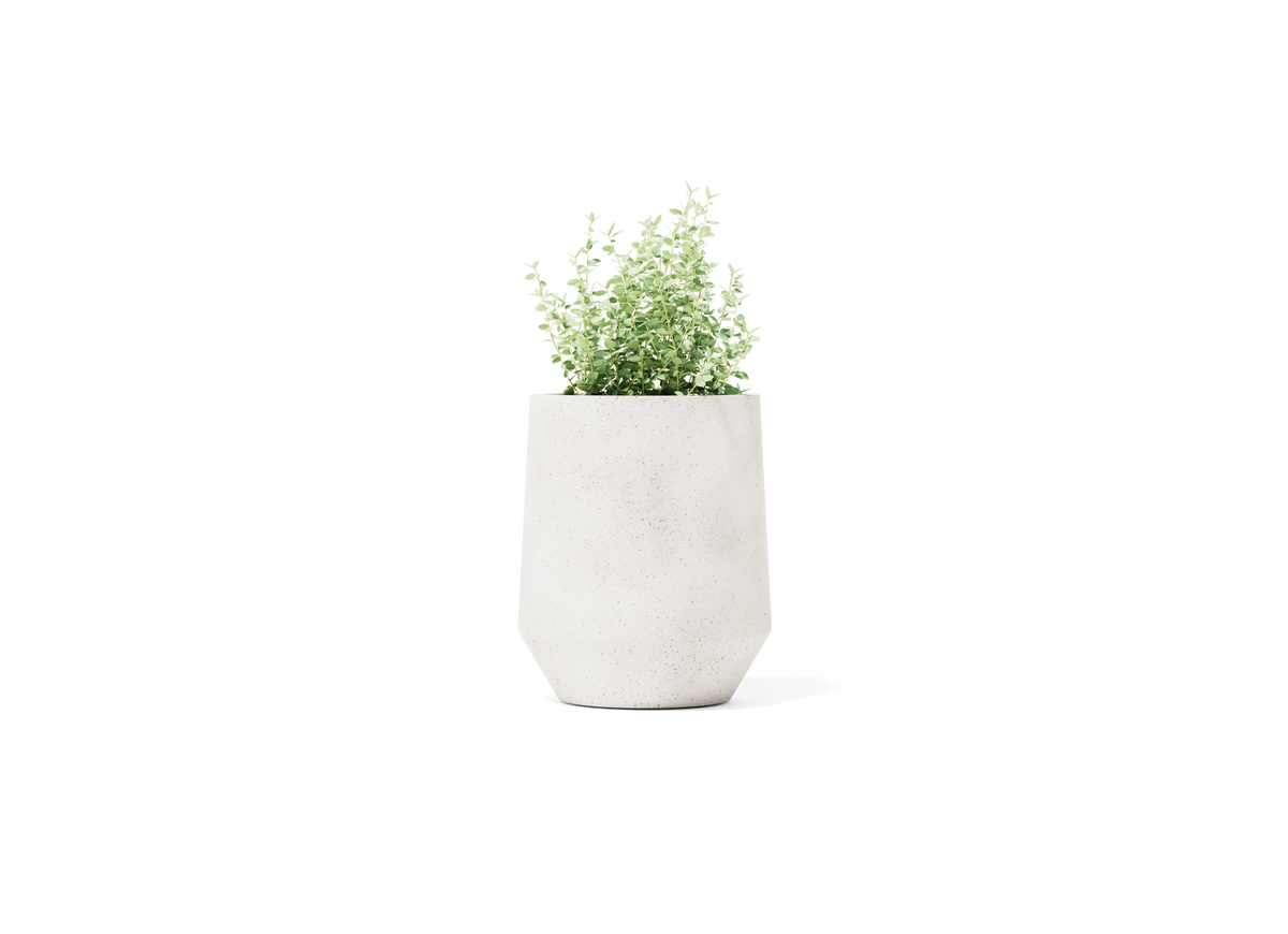Champ Planter - Tall