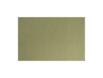 Braid Rug, in Basil, overhead view