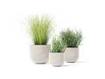 Settle Planter – Small – image 2