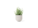 Settle Planter – Small – image 1