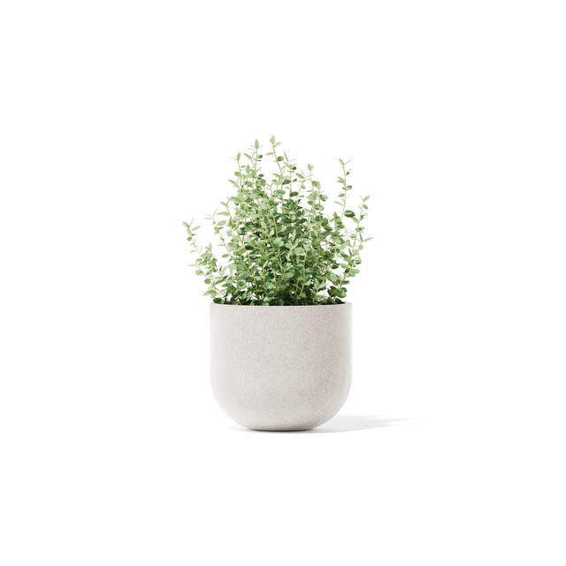 Settle Planter - Small