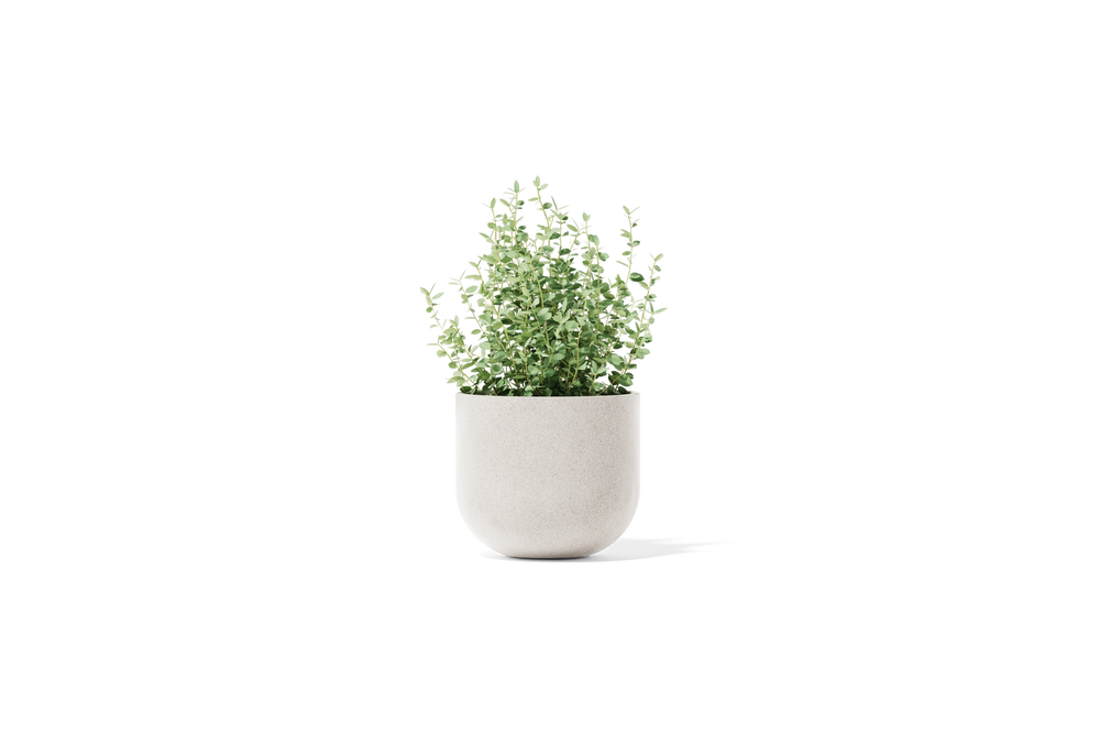 Settle Planter – Small – image 1