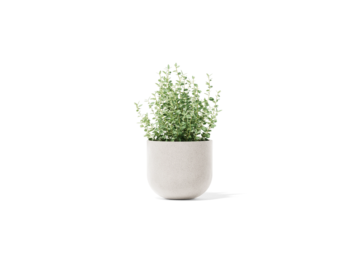 Settle Planter - Small