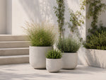 Settle Planter – Small – image 4
