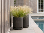 Stump Planter – Small – image 4