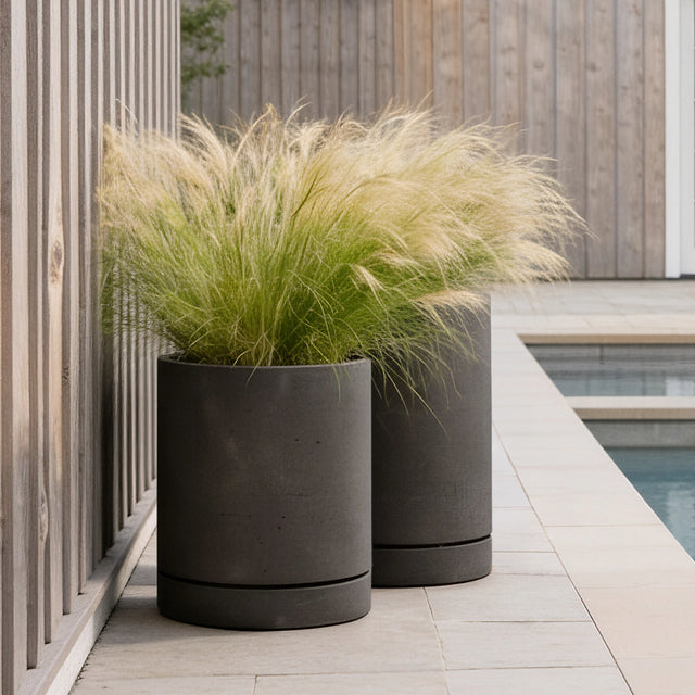 Stump Planter - Small, alternate view