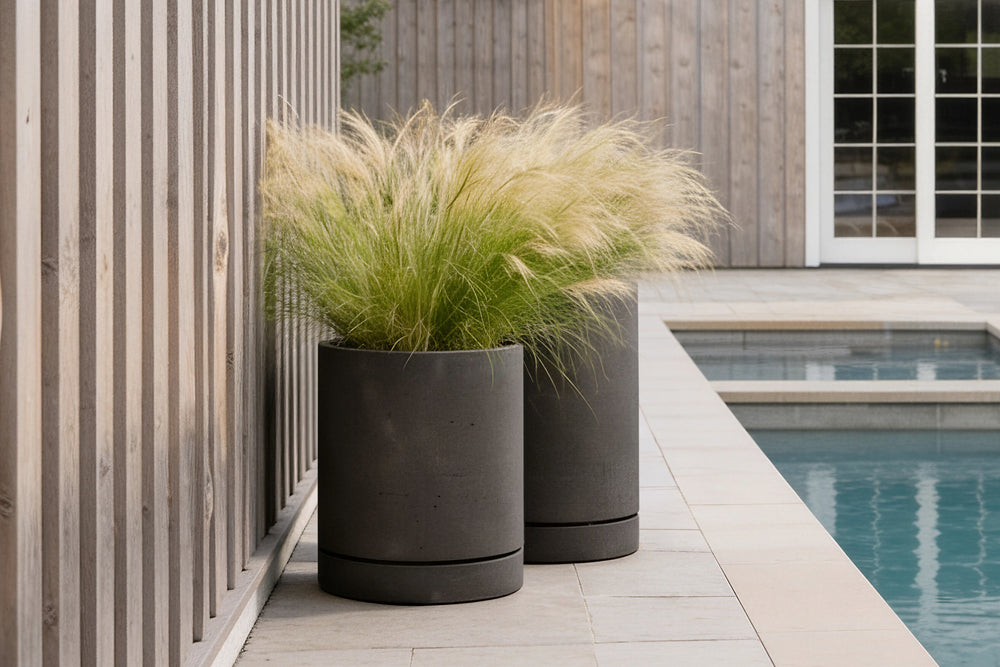 Stump Planter – Small – image 4