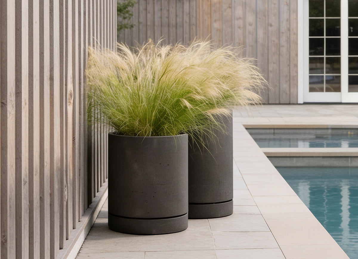Stump Planter - Small, alternate view