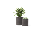 Stump Planter – Small – image 2