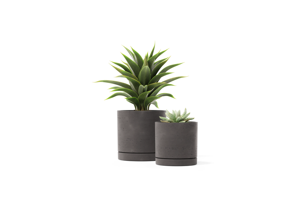 Stump Planter – Small – image 2