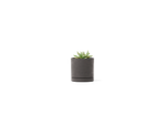 Stump Planter – Small – image 1