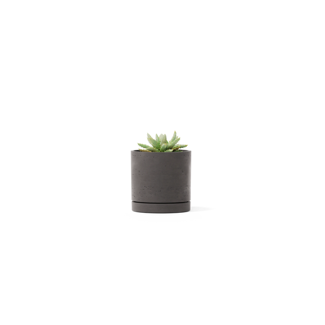 Stump Planter - Small