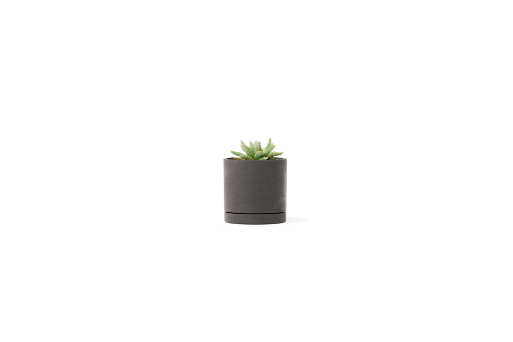 Stump Planter – Small – image 1