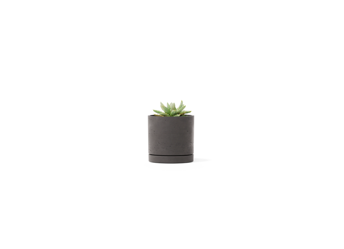 Stump Planter - Small