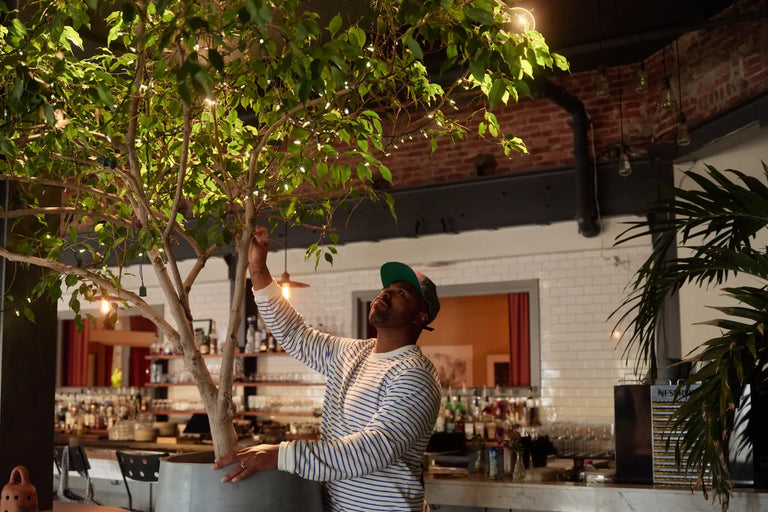 Hilton Carter in a striped shirt reaching up to tend a leafy tree growing inside a restaurant, with a bar and warm string lights behind him.