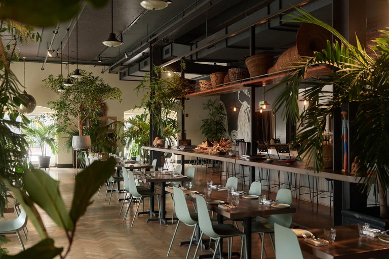 Long view down a restaurant interior with plant-lined shelves, wooden tables, pale green chairs, and hanging pendant lamps.